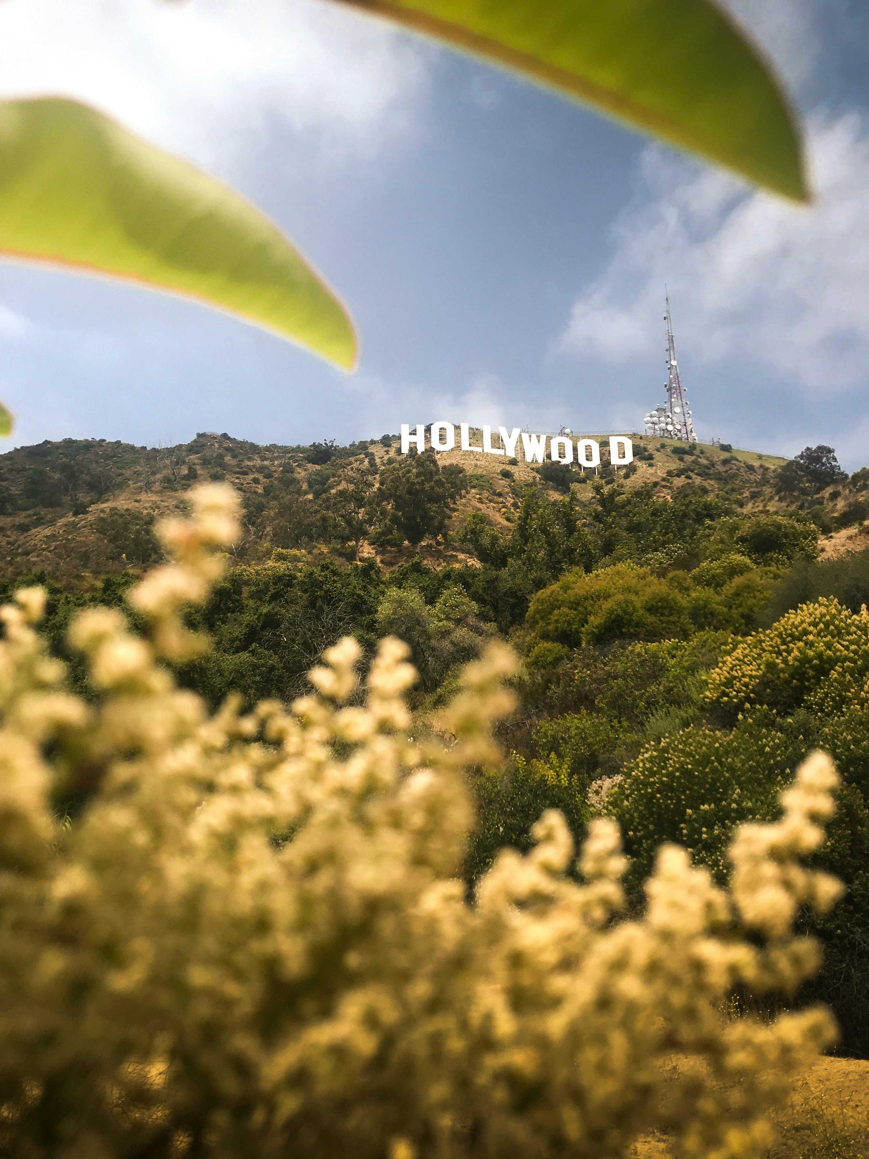 Hollywood